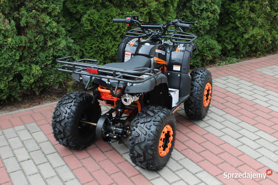 Quad Hammer 125 średni 31 dzieci młodzieży zachodniopomorskie Goleniów