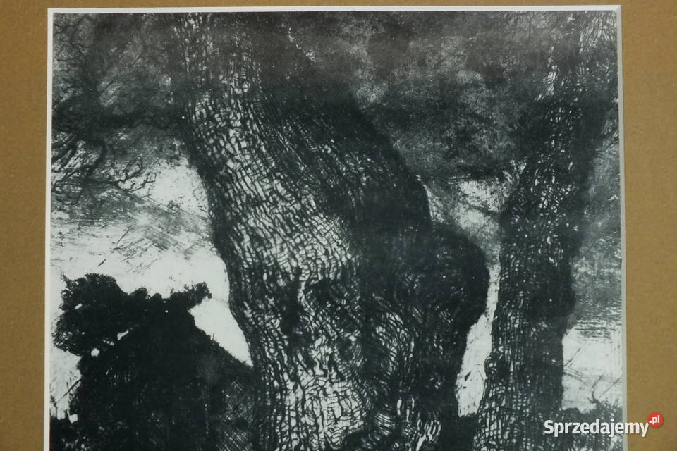 Dęby grafika sitodruk Malarstwo