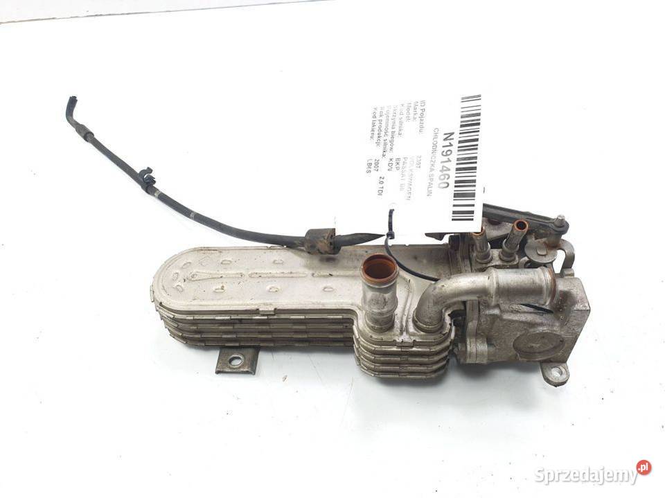 CHŁODNICZKA SPALIN VOLKSWAGEN PASSAT B6 osobowe kujawsko-pomorskie Lipno