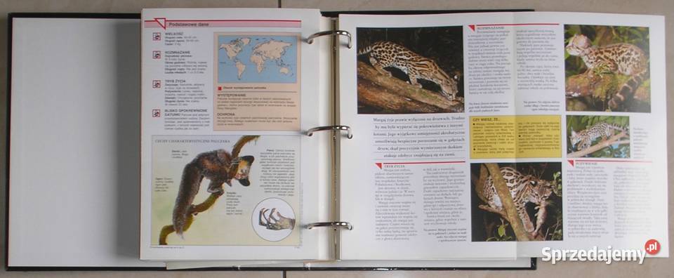 Encyklopedia zwierząt A do Z Kompendium 2 Poradniki, albumy i reportaże Kraków