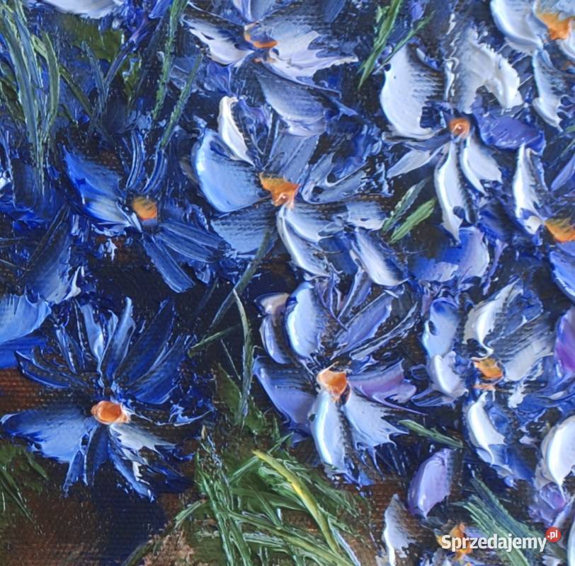 Chabry obraz olejny 50x40 Kwiaty Polne Ewa łódzkie Skierniewice sprzedam