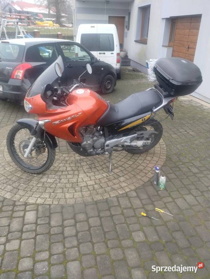 Honda Transalp 650 Dankowice
