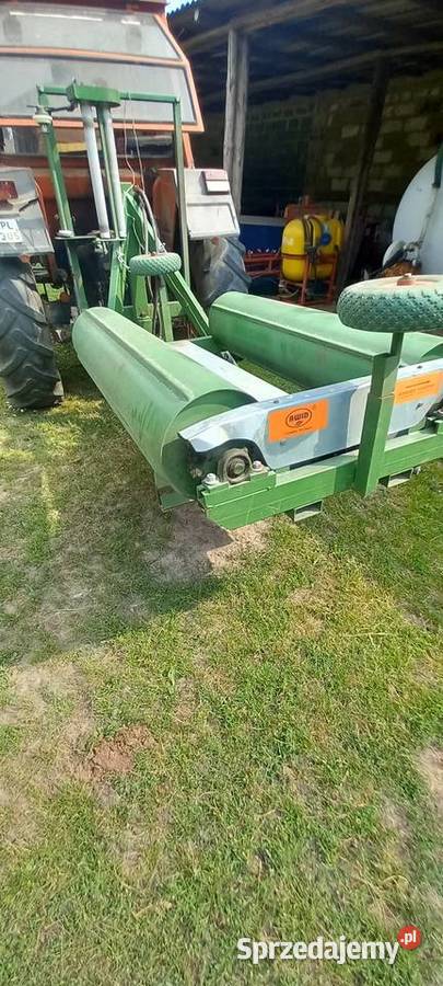 Owiarka Pozostałe Płońsk