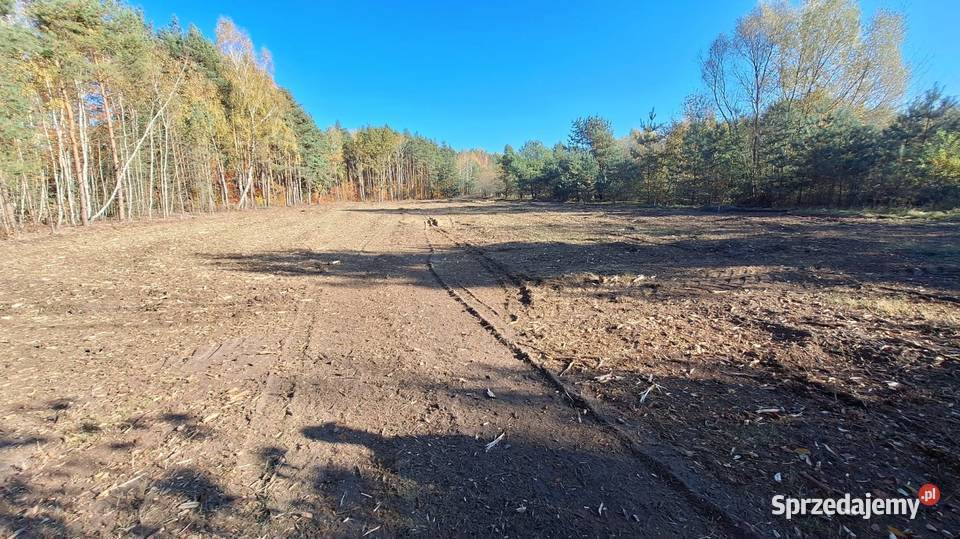 Mulczowania Wycinka drzewCzyszczenie działek Nowe Miasto Lubawskie prace ogrodowe