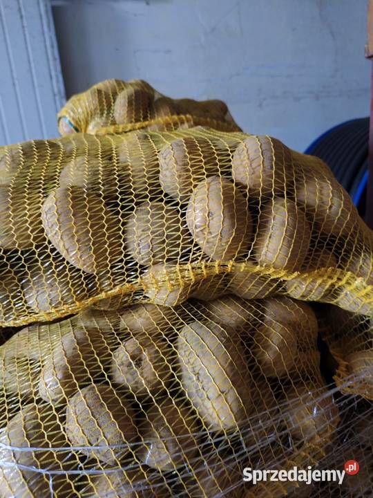 Ziemniaki nieuszkodzony Do ziemniaków i warzyw Stręgoborzyce