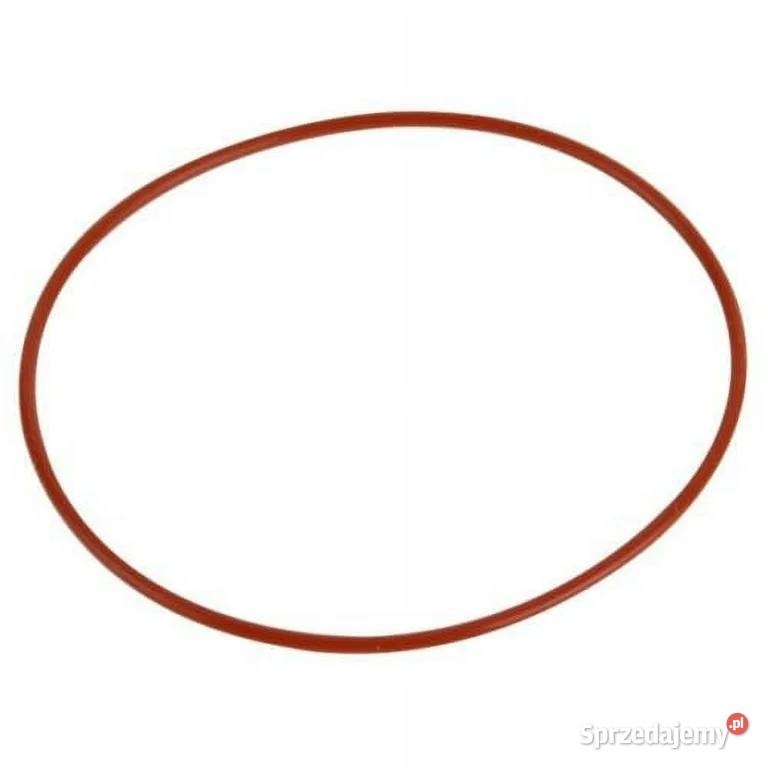 Oring pompy wody Iveco Stralis 17292281