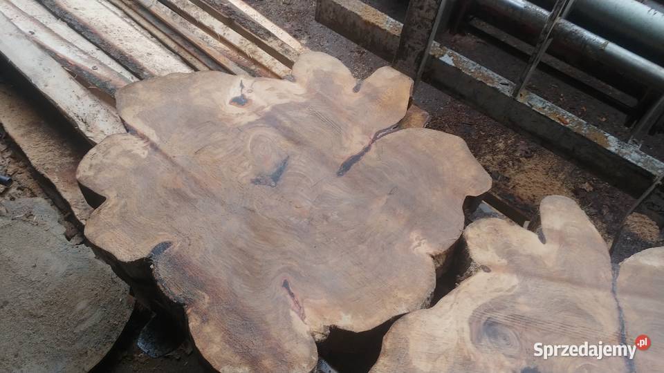 Plastry talary krążki drewna Pieńki na stolik Izdebnik sprzedam