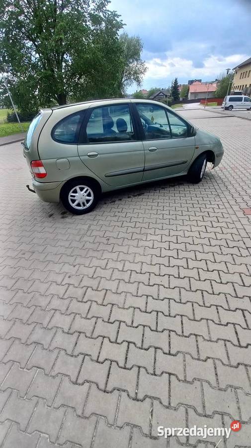 Scenic sprawny na ryby do pracy na grzyby automatyczna świętokrzyskie Bieliny sprzedam