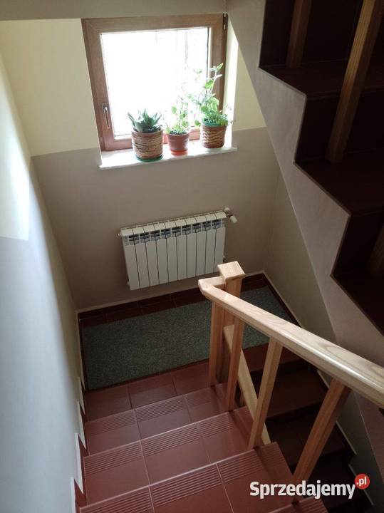 SPRZEDAM POSIADŁOŚĆ W WILKASACH NA DZIAŁCE 31 AR siatka Giżycko