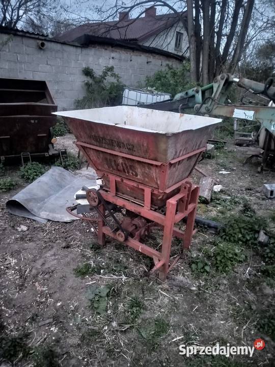 Motyl Miłochniewice