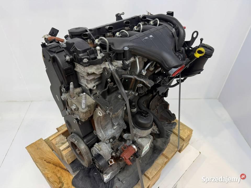 SILNIK G6DA Ford C C 20 TDCI 136 G6DB G6DD G6DG Silniki kompletne Chełm sprzedam