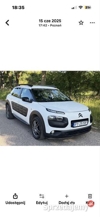 C4 cactus zamiana Poznań