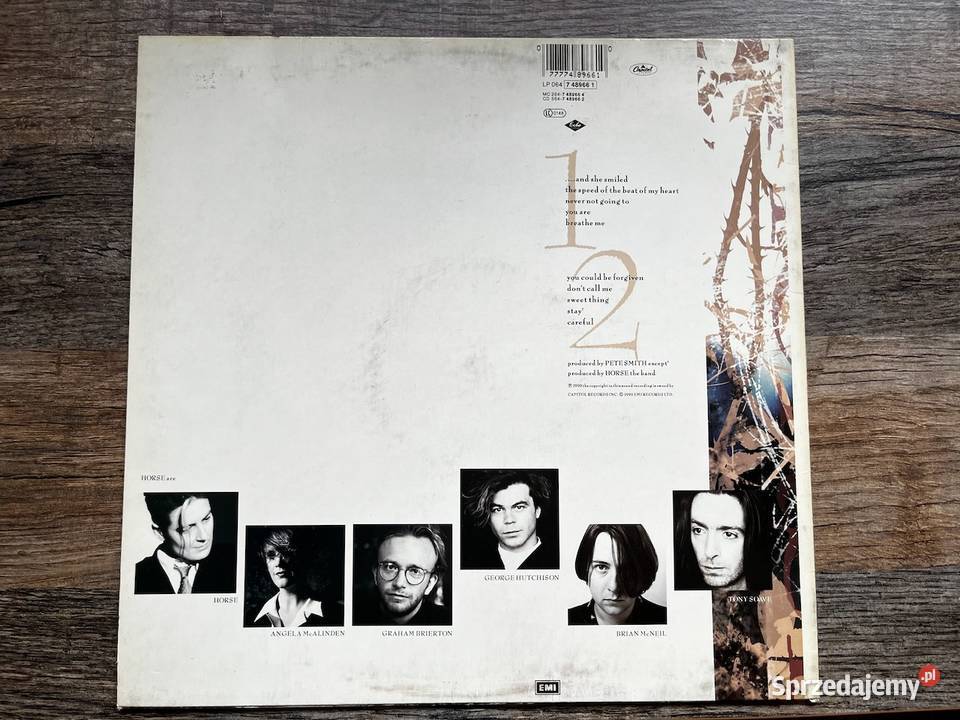 Horse The Same Sky LP 1990 Pop Rock Błażejowice