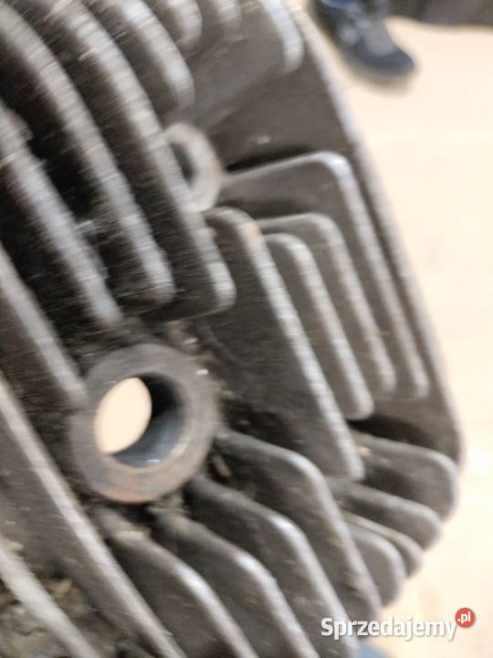 Dzik 2 głowica Rozkochów