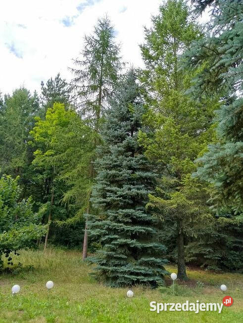 Murowany dom 120 m z działką 2500 m lesieŁódź Krzywiec sprzedam