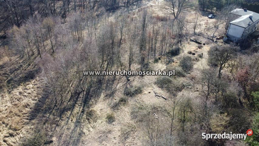 Działka Wodzisław Śląski 1353m2 Sprzedaż śląskie