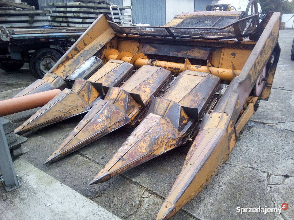 kombajn Bizon Z056 przystawka do kukurydzy Oblęgorek