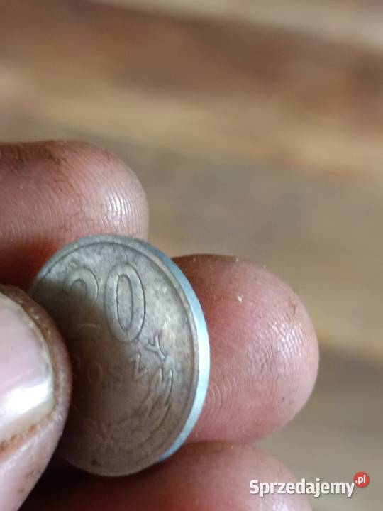 Sprzedam monete 20 groszy 1965 r ttt lubelskie Chełm sprzedam