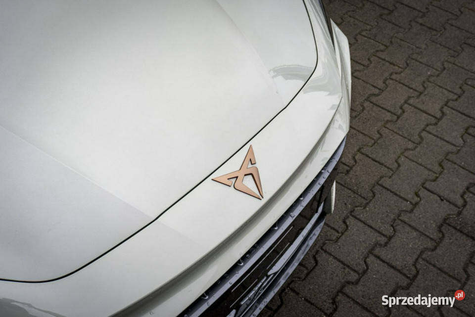 Cupra Leon 15 eTSI 150 DSG Dostępny ręki Łódź