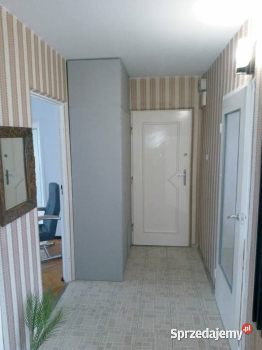 Mieszkanie na sprzedaż 62 m2 4 pokoje 3 piętro Rok budowy 1975 Sprzedaż Pabianice