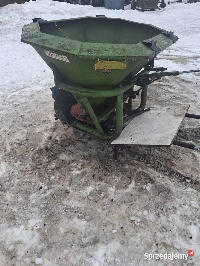 Rozsiewacz amazone Łąkie