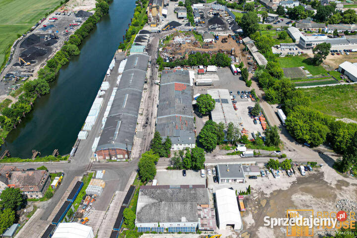 Lokal Opole 8128m2 Sprzedaż