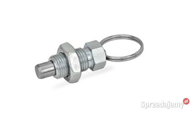 Trzpień śląskie Częstochowa