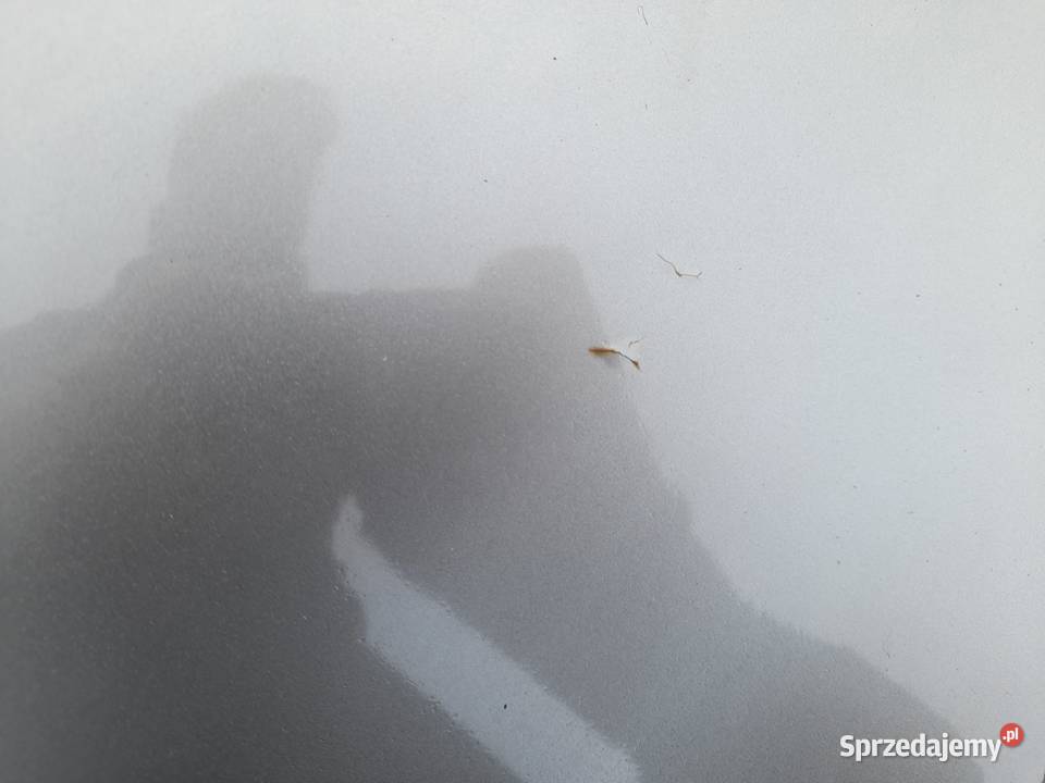 Drzwi lewe BMW Z4 E85 do lakierowania Białystok