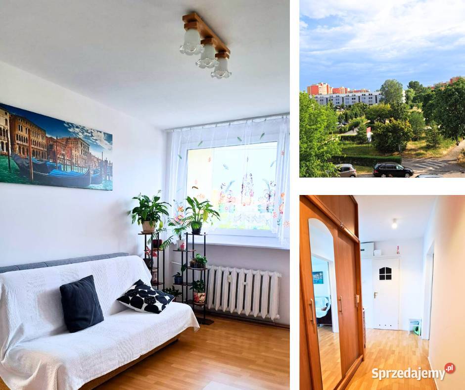 Wynajem 3 pokojekuchnia 53m2 TARAS 56m2 Balkon balkon Mieszkania dolnośląskie Wrocław