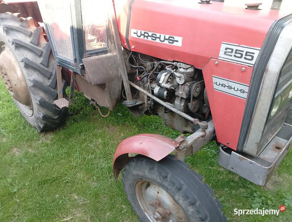 MF 255 URSUS Z 1989ROKU ORGINAŁ Ciągniki sprzedam