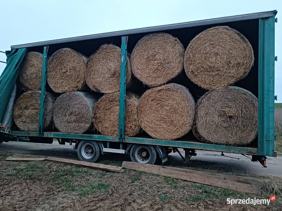 Słoma pszenna 150 w belach lubelskie Bychawa