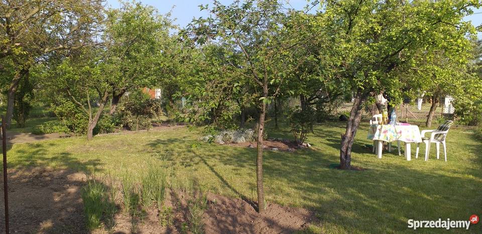 Ogródek działkowy działka ROD Majówka Legnica