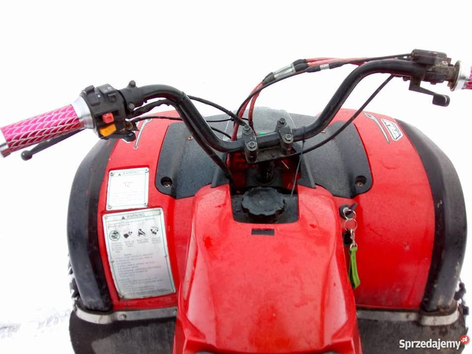 Kingway Alpinus Cat 200cc Kingway śląskie Pruchna