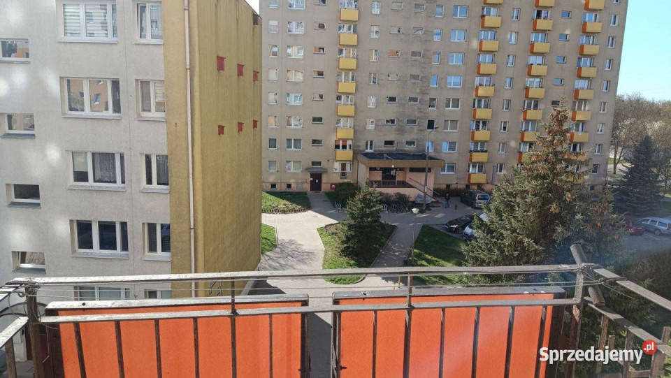 Świetna Niezależne Trzy Pokoje Poznań sprzedam