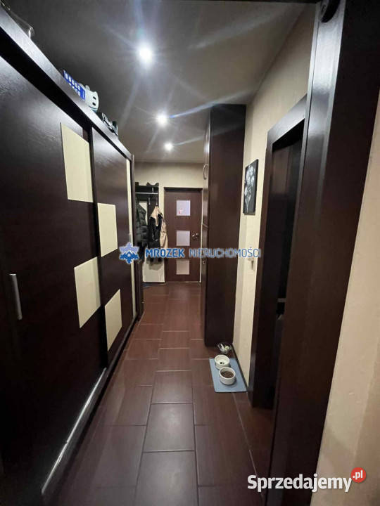 Mieszkanie JastrzębieZdrój 4635m2 2 pok 5091zł/m2 Sprzedaż Jastrzębie-Zdrój sprzedam