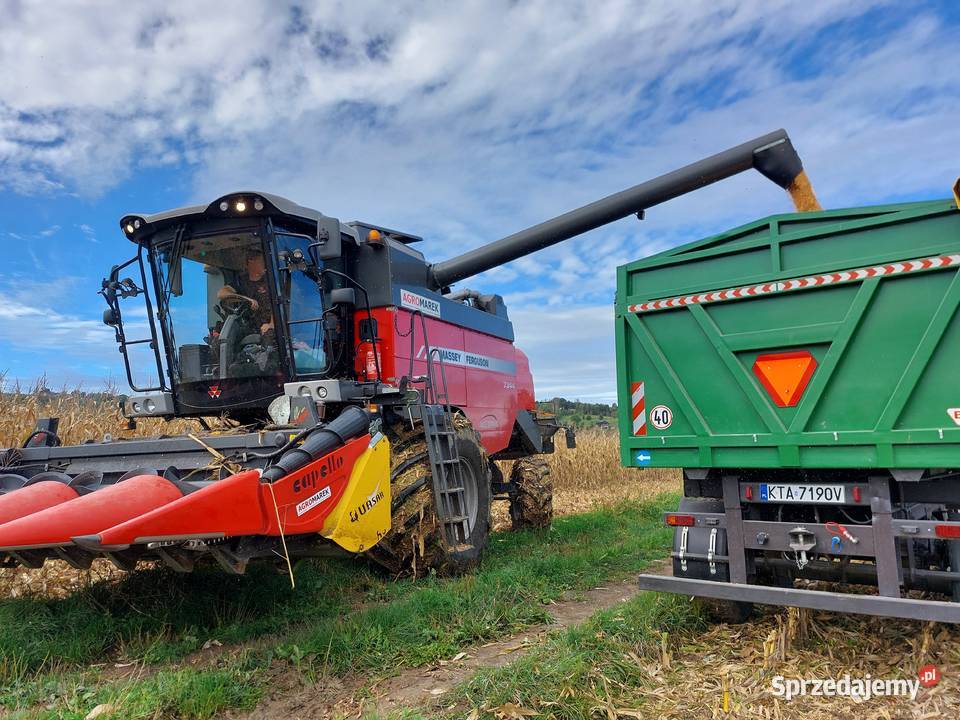 Przyczepa tandem brandys Zarejestrowana nieuszkodzony Tuchów