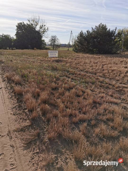 Działka budowlana Korwin Słupca okazja 80m2 1893m2