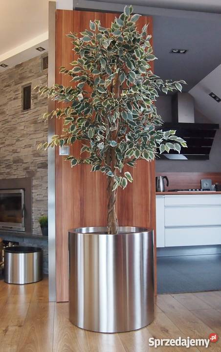 Duże Donice Stalowe Nierdzewne Nowoczesne Mała Kraków