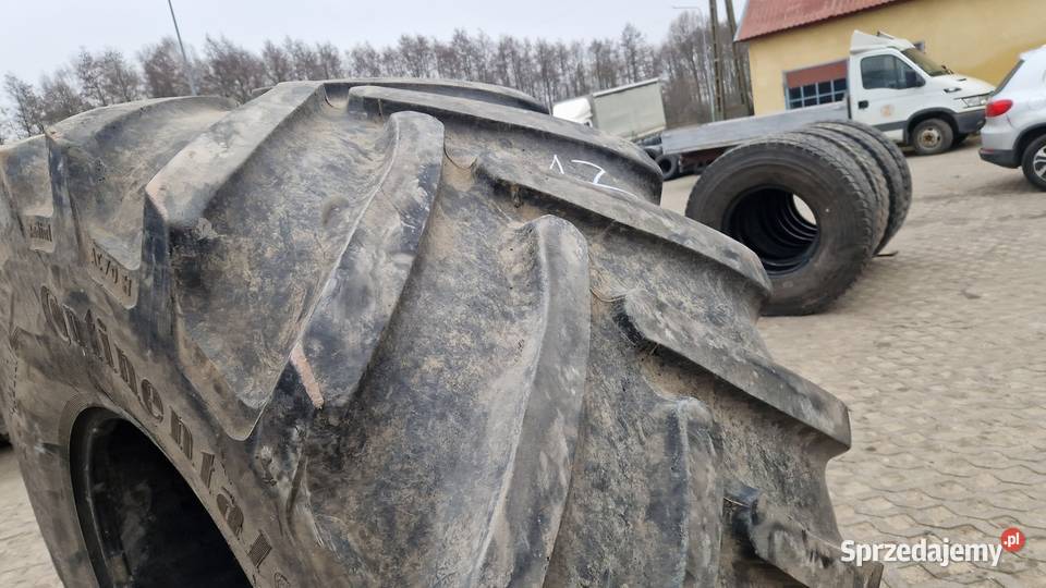 80065r32 8006532 305l32 305LR32 continental 60 Nowe Miasto Lubawskie