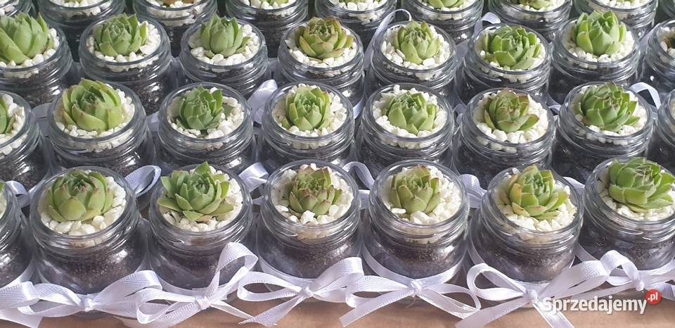 Podziękowania gości Usługi łódzkie Łódź