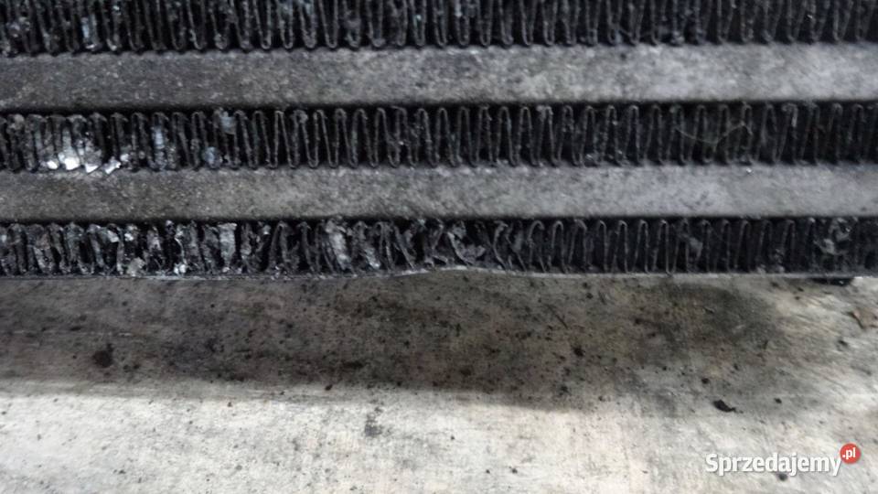 FORD FOCUS MK3 III 16 TDCI 13r intercooler osobowe świętokrzyskie