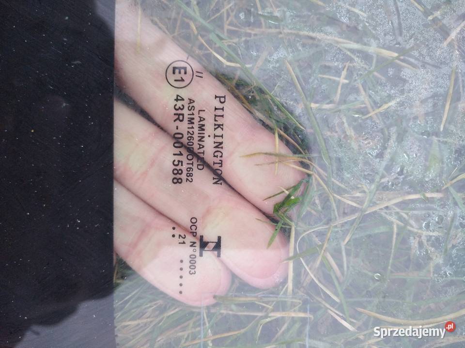 Szyba przednia czołowa Trafic 2 Vivaro Chojnów