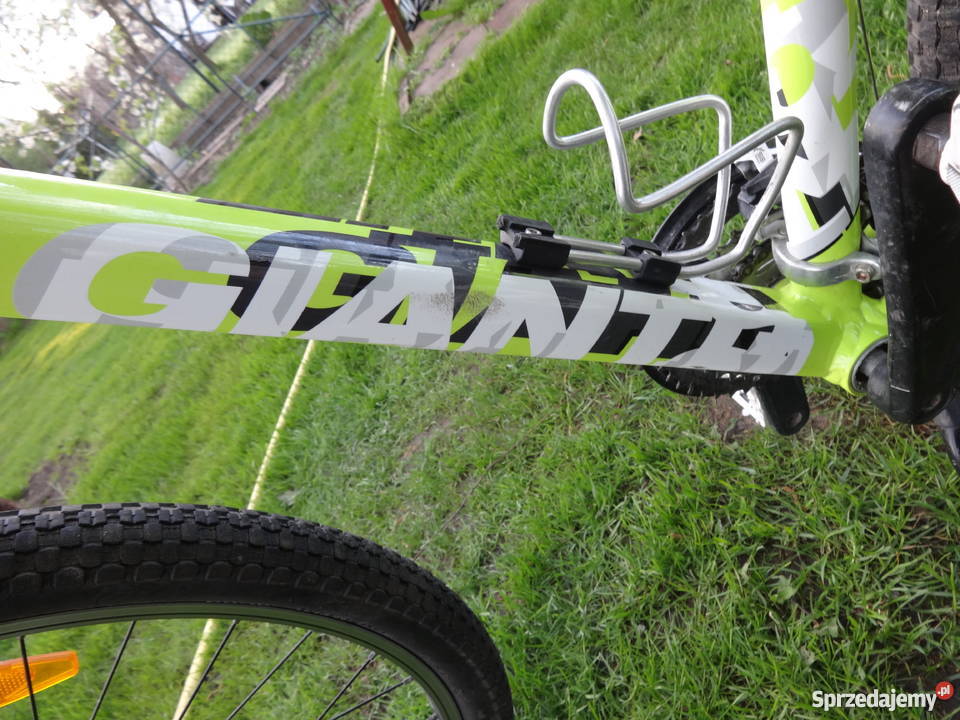 Rower GIANT wielkopolskie Kamionki
