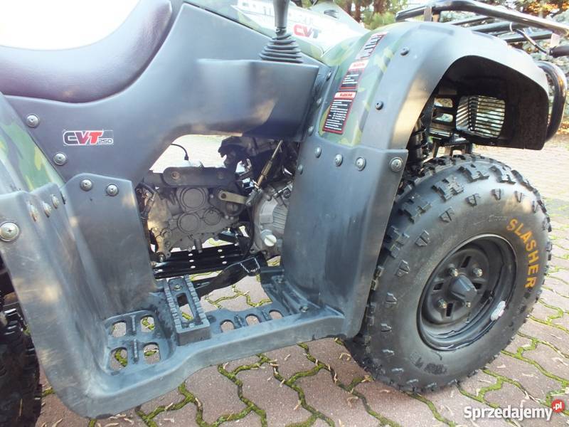 Quad ATV Bashan BS250s24 Skępe sprzedam