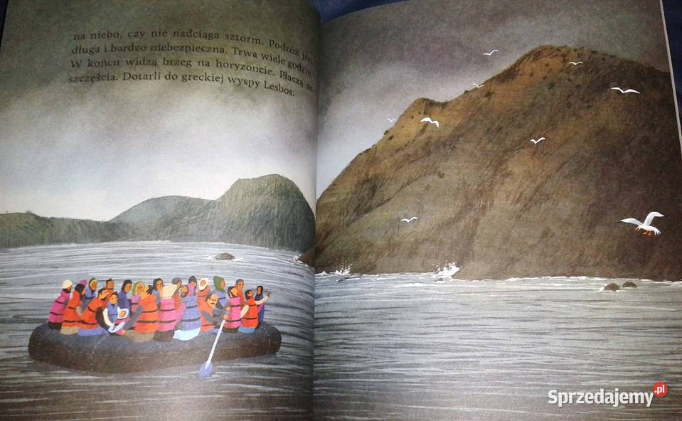 Kot który zgubił dom Ewa Nowak Chełm sprzedam