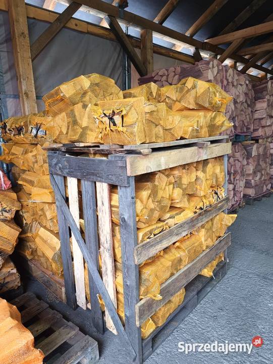 Brzoza buk suche drewno na ognisko grilla Bolesław