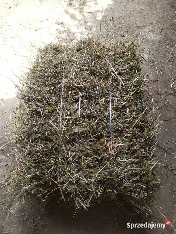 Okazja Sprzedam kostki siana z 2019 małopolskie sprzedam
