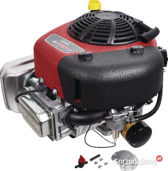 Silnik wał pionowy 133 Intek jednocylindrowy małopolskie Kamionna