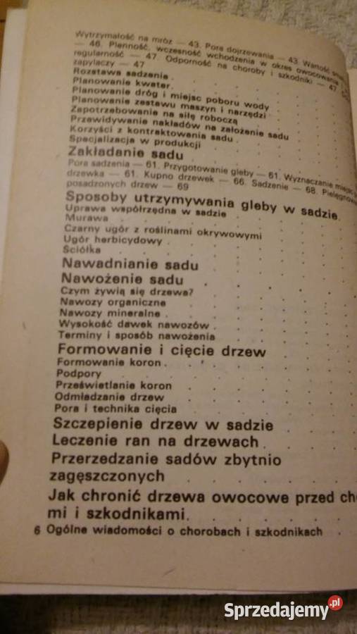 ogrodnictwo działka sadownictwo Poradnik Gdańsk