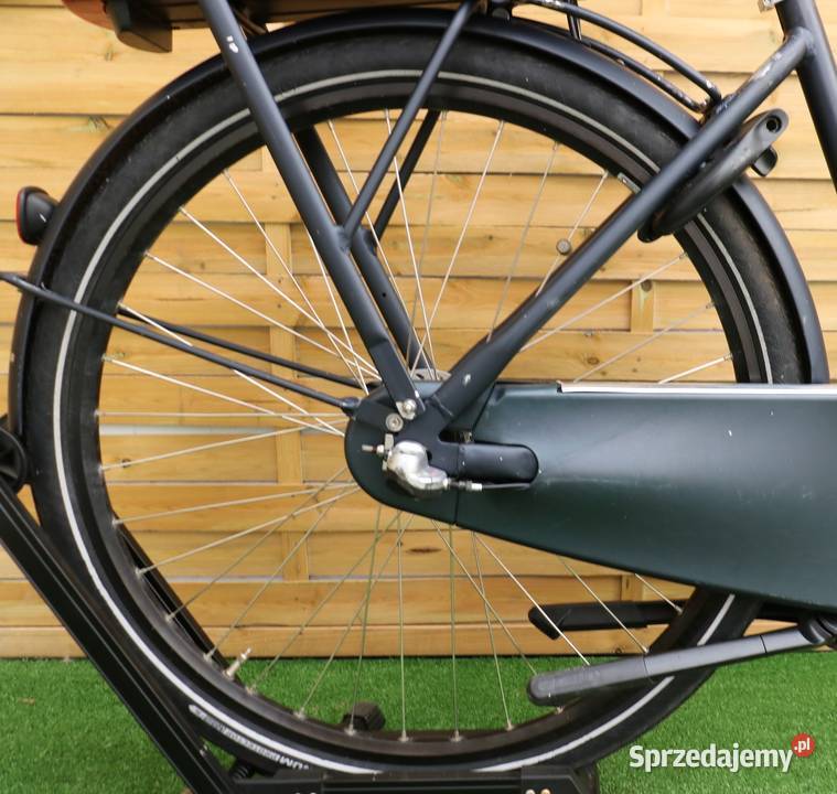 Rower elektryczny Cortina L4 Ecomo d 50 i inne